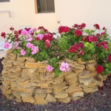 Castillo Playa 홀리데이파크 칼레타데푸스테